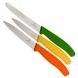 Набір кухонних овочевих ножів Victorinox Swiss Classic Paring Set 3 шт Різнокольорові (6.7116.31G)